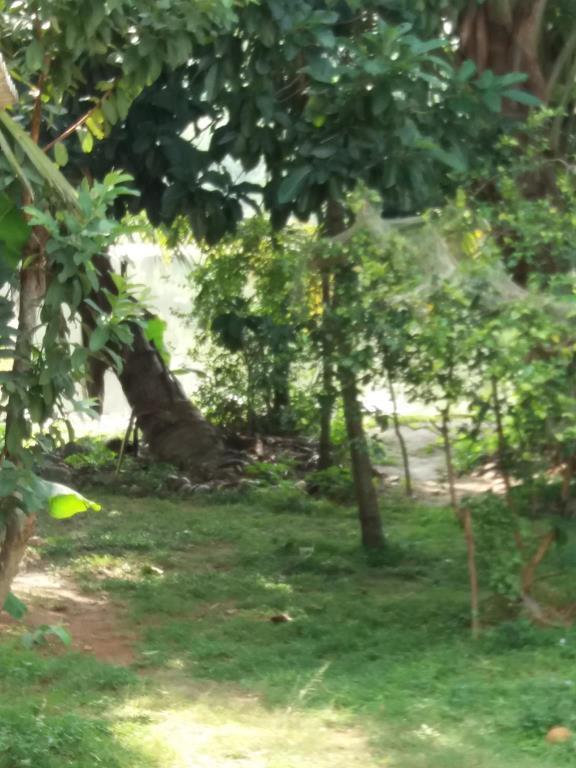 Ishitha Homestay Tangalle Esterno foto