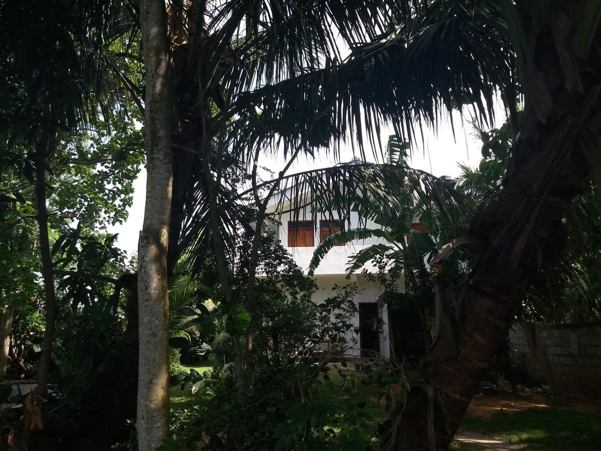 Ishitha Homestay Tangalle Esterno foto