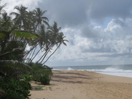 Ishitha Homestay Tangalle Esterno foto